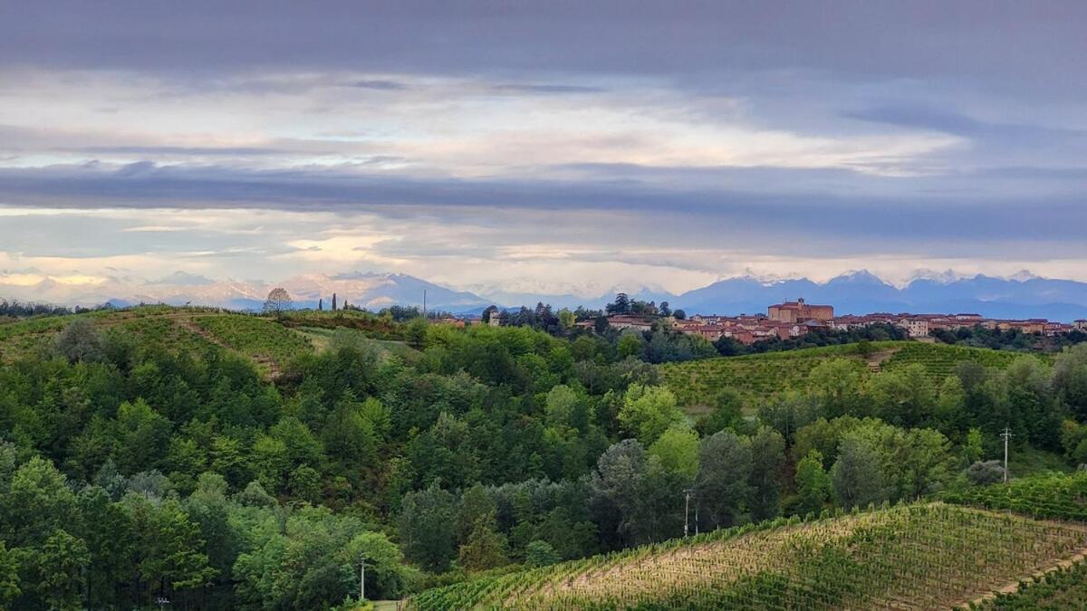 Buta - Vino, Colline E Tramonti Mozzafiato Apartment Castagnole Monferrato Exterior photo